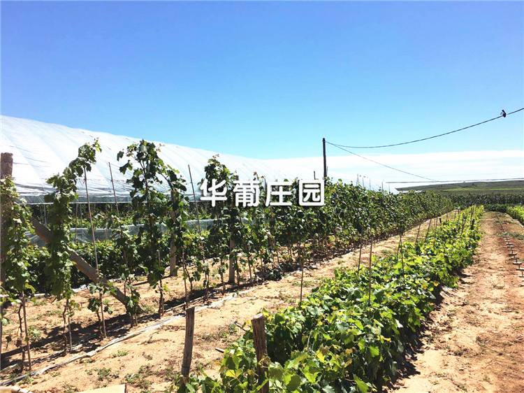 Q3210H2(Ԅж)ĎʽC(j)